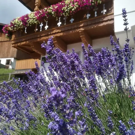 Haus Anna Apartment