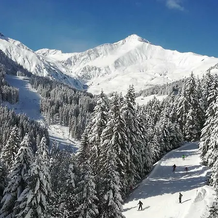 Haus Anna 公寓 图克斯