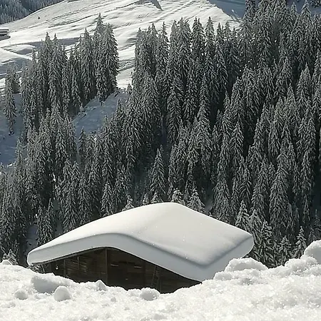 Haus Stadler Lejlighed