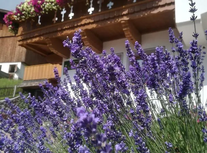 Haus Stadler Διαμέρισμα